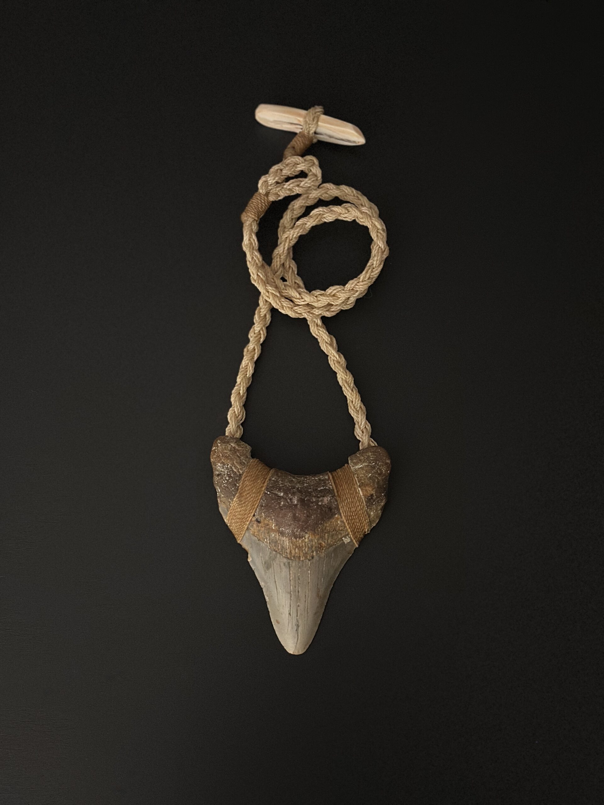 Meg tooth necklace