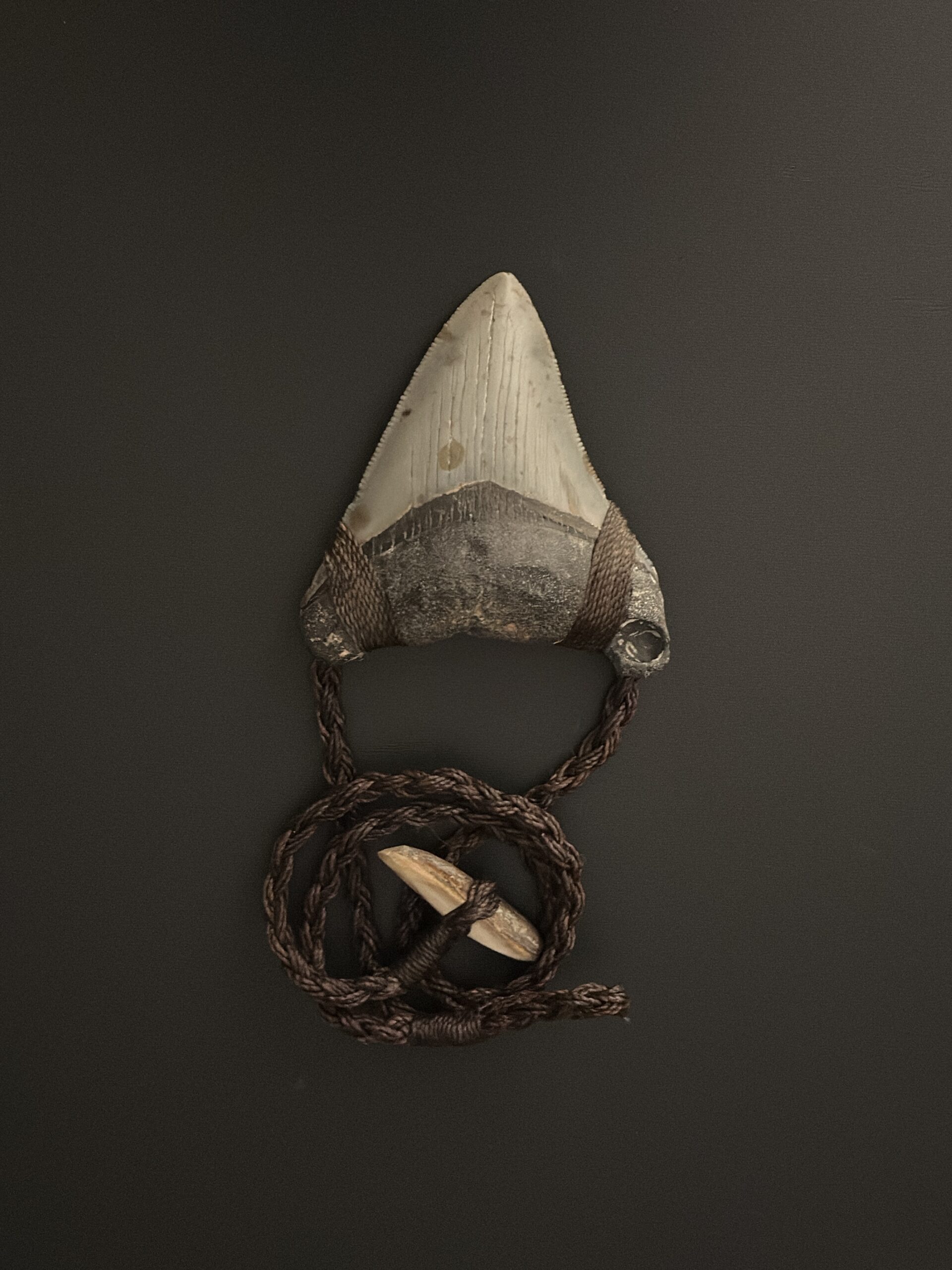 megalodon tooth necklace